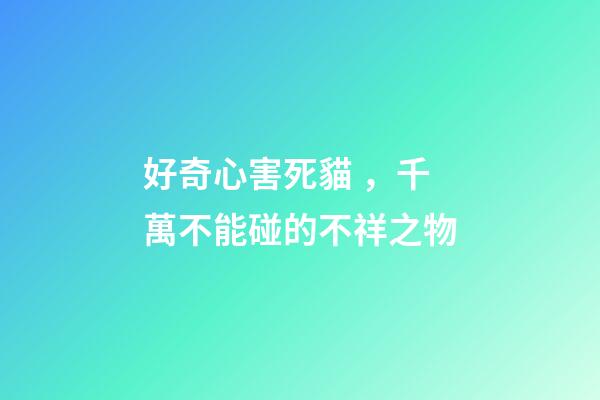 好奇心害死貓，千萬不能碰的不祥之物